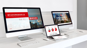 瀚华金控 - 官网改版思路汇报