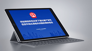 江苏省高级人民法院 - 课题组调研报告